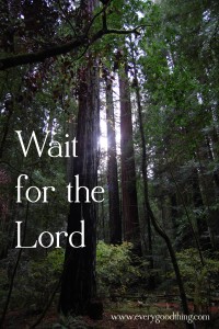 Wait for the Lord